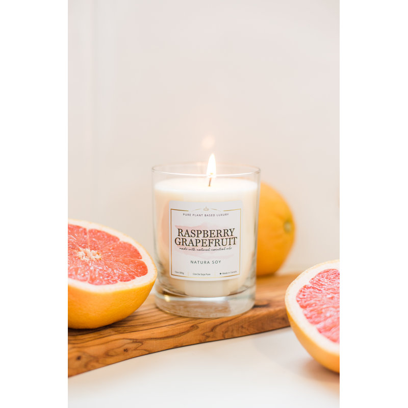 NaturaSoy Raspberry Grapefruit Scented Jar Candle Wayfair.ca